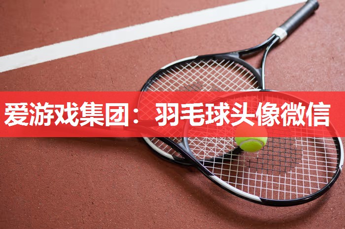 爱游戏集团：羽毛球头像微信