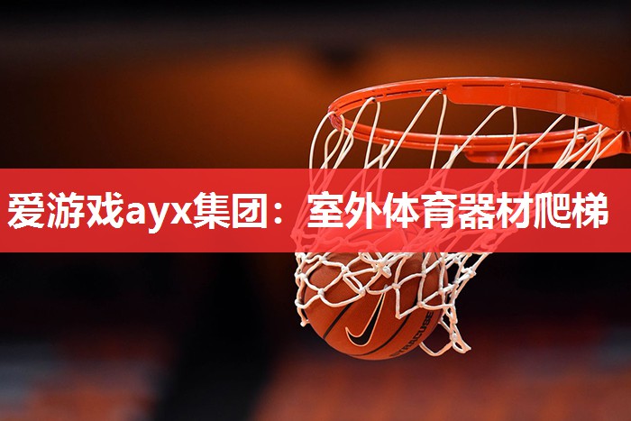 爱游戏ayx集团：室外体育器材爬梯