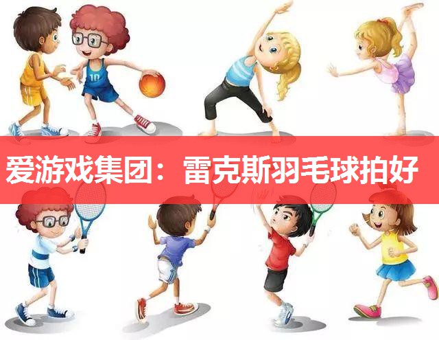爱游戏集团：雷克斯羽毛球拍好