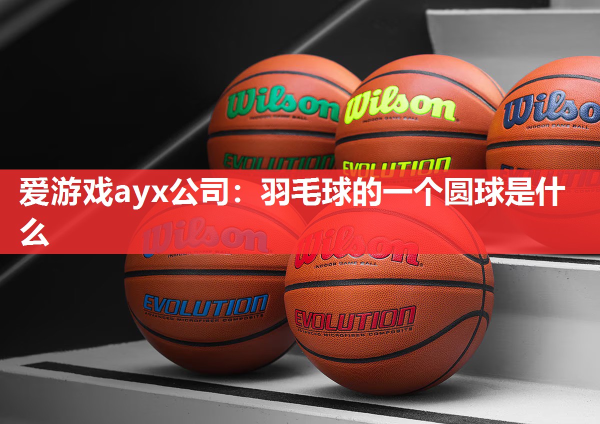 爱游戏ayx公司：羽毛球的一个圆球是什么