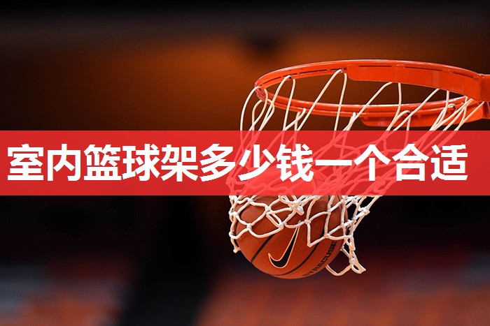 室内篮球架多少钱一个合适