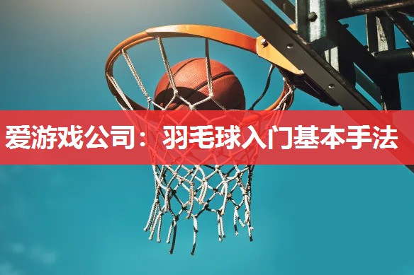 爱游戏公司：羽毛球入门基本手法