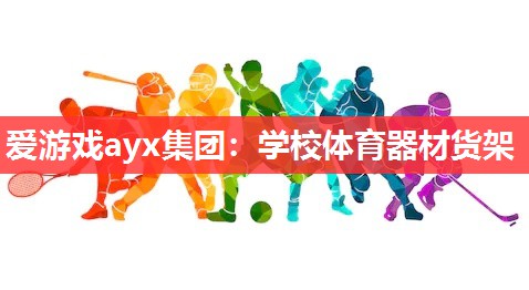 爱游戏ayx集团：学校体育器材货架