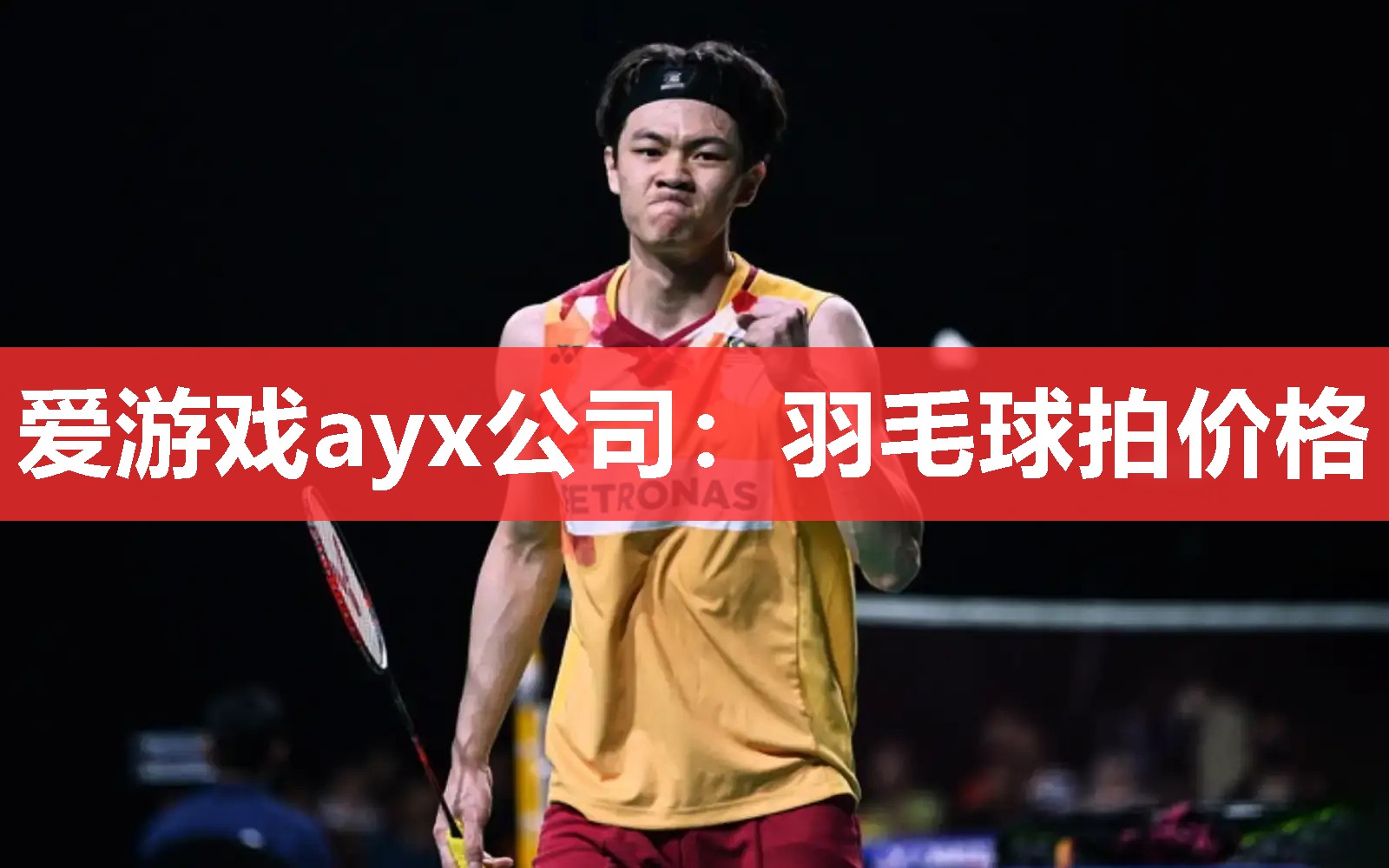 爱游戏ayx公司：羽毛球拍价格