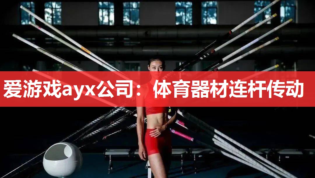 爱游戏ayx公司：体育器材连杆传动
