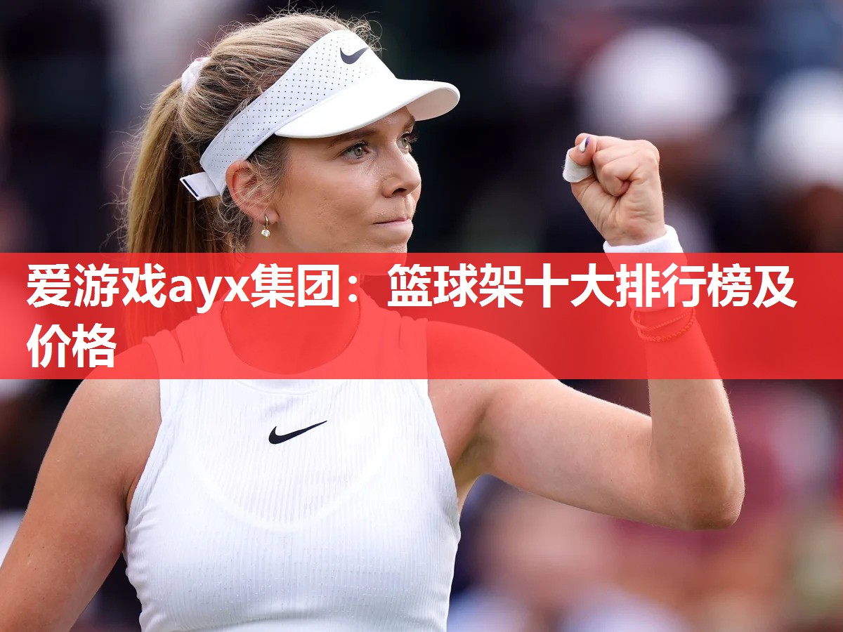 爱游戏ayx集团：篮球架十大排行榜及价格