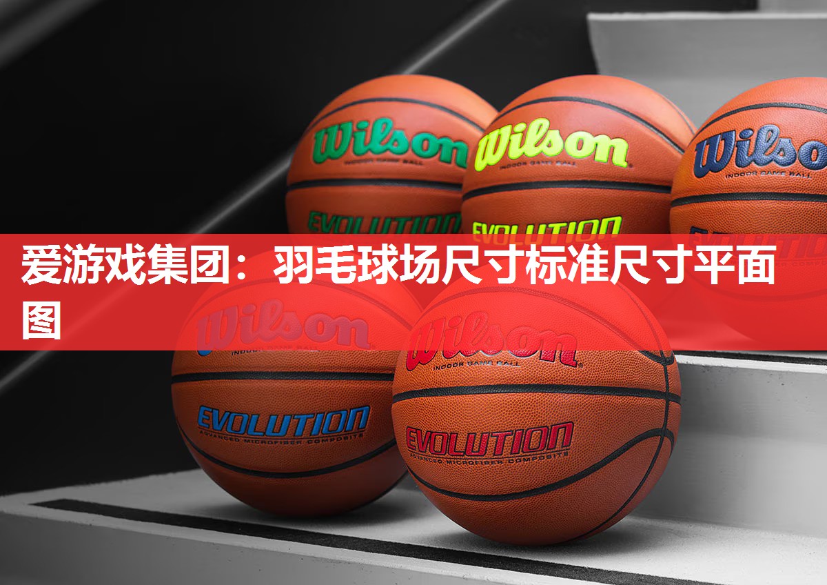 爱游戏集团：羽毛球场尺寸标准尺寸平面图
