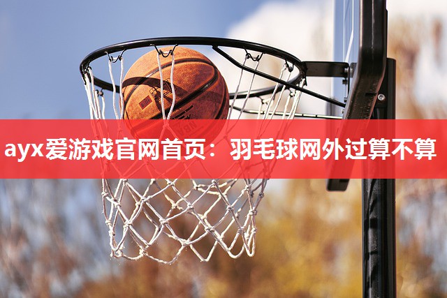 ayx爱游戏官网首页：羽毛球网外过算不算