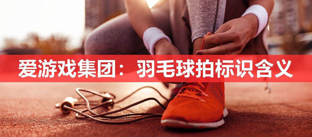 爱游戏集团：羽毛球拍标识含义