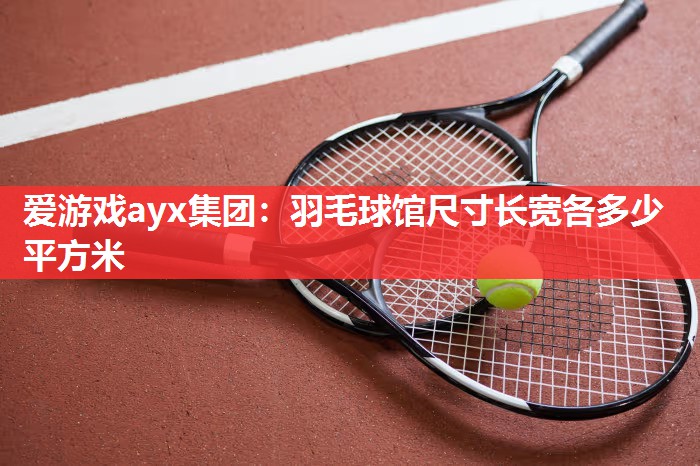 爱游戏ayx集团：羽毛球馆尺寸长宽各多少平方米