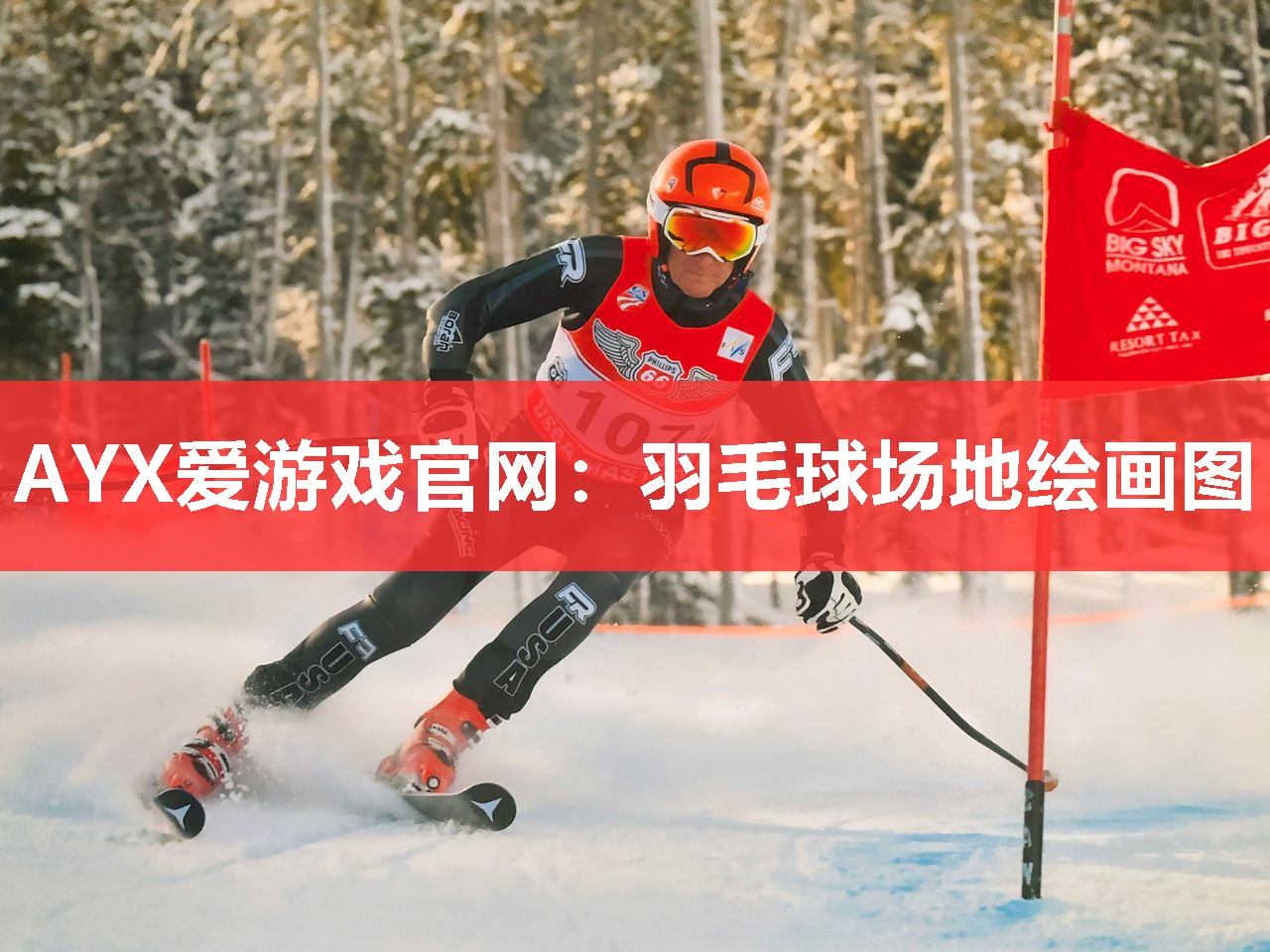 AYX爱游戏官网：羽毛球场地绘画图