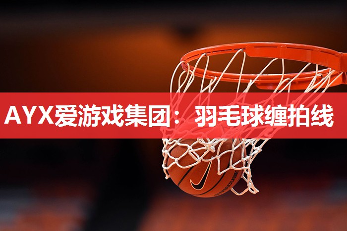 AYX爱游戏集团：羽毛球缠拍线