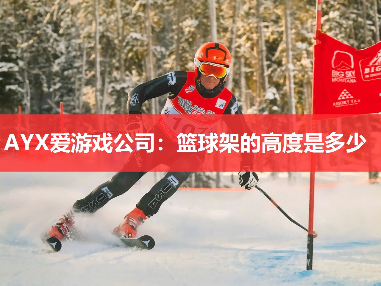 AYX爱游戏公司：篮球架的高度是多少