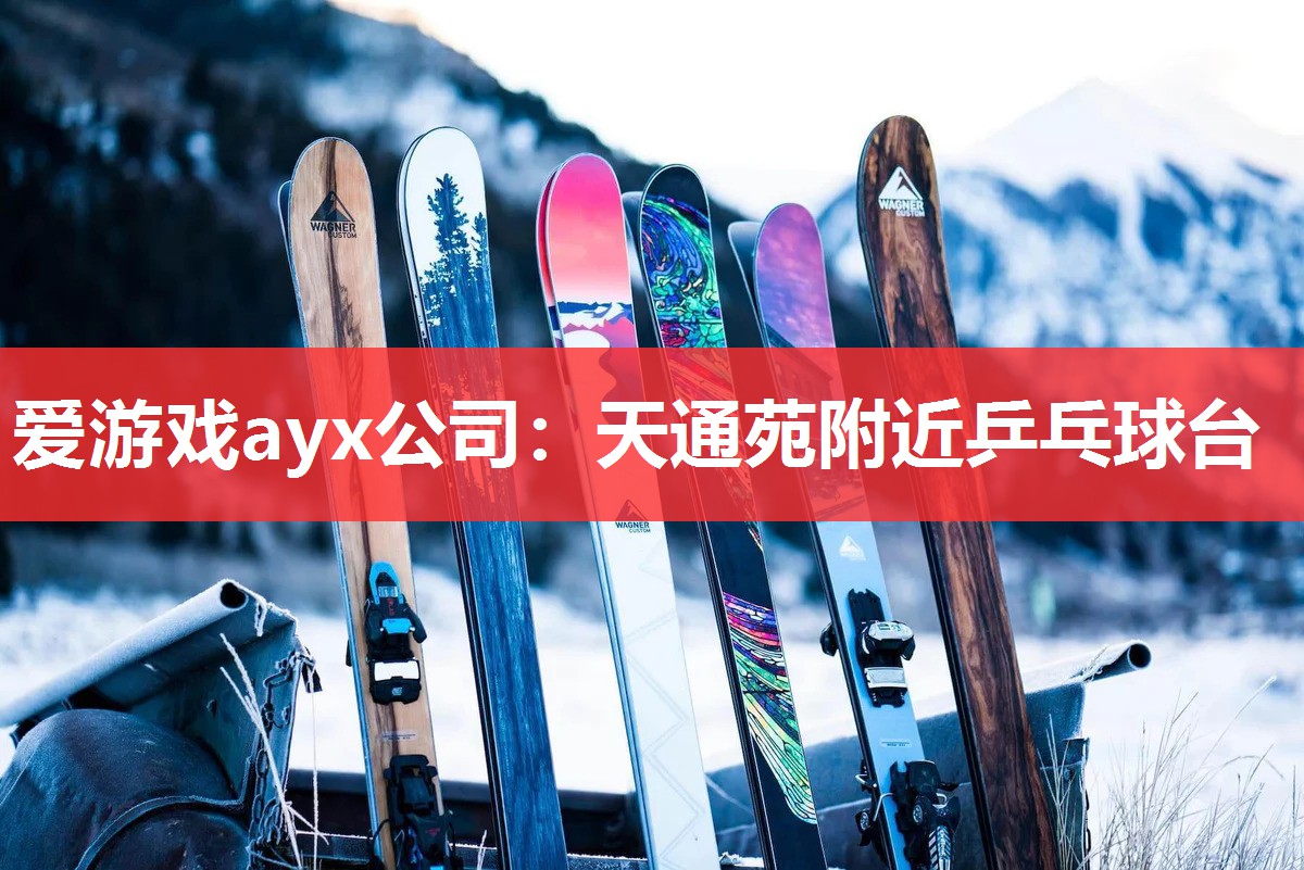 天通苑附近乒乓球台 天通苑附近乒乓球台