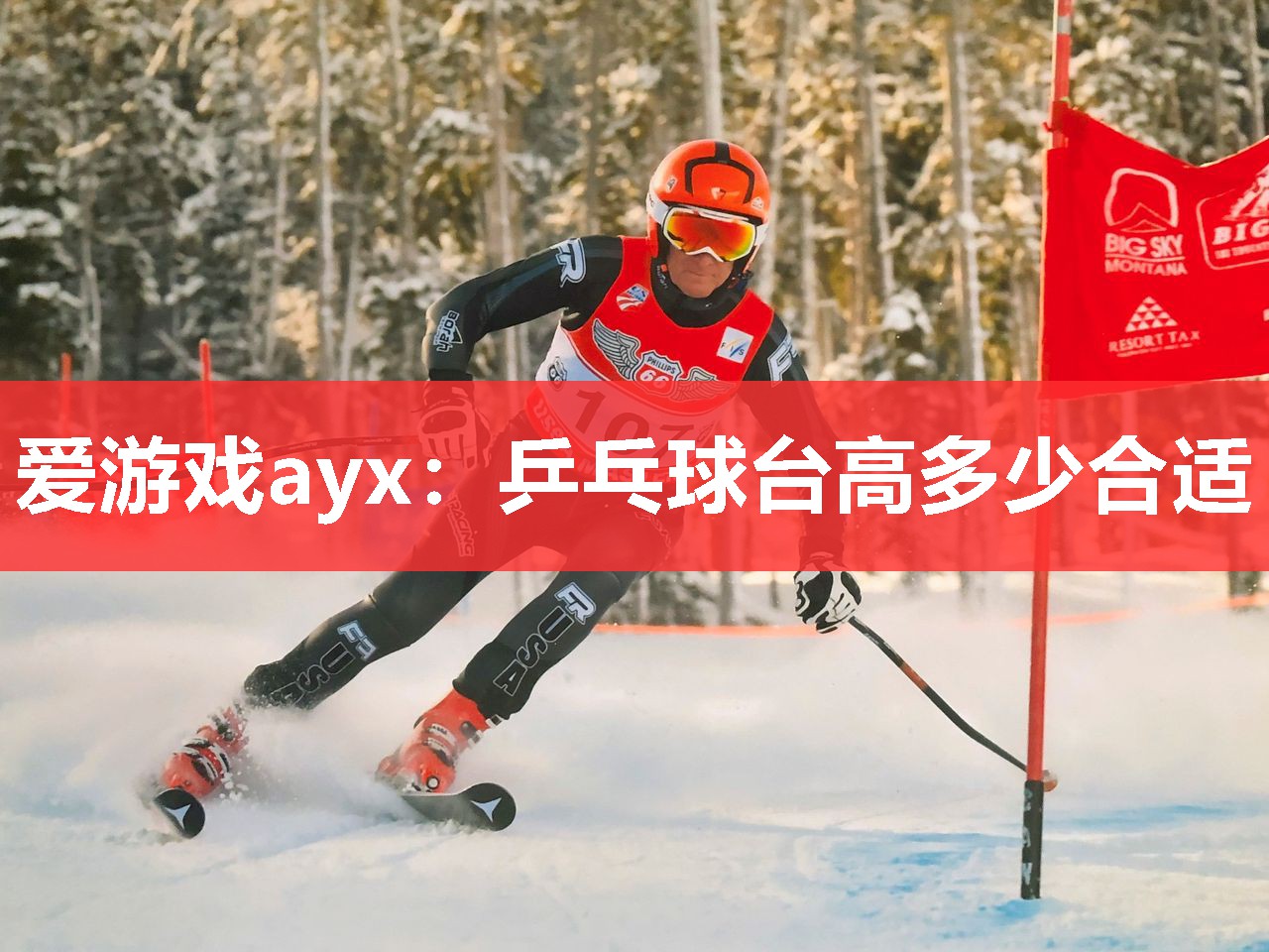 乒乓球台高多少合适 乒乓球台高多少合适