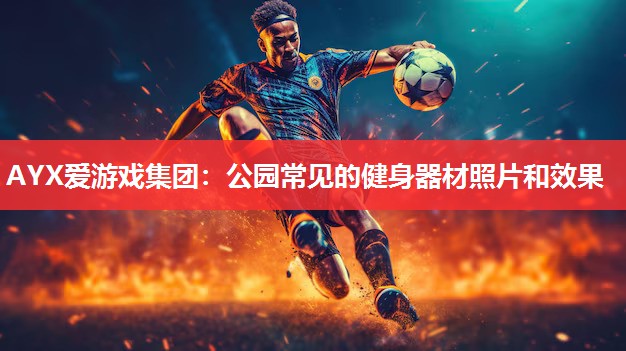 公园常见的健身器材照片和效果 公园常见的健身器材照片和效果