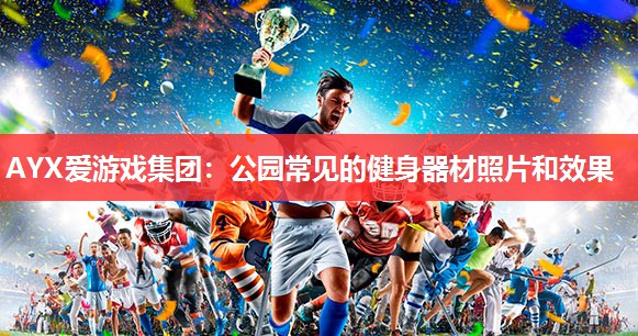 公园常见的健身器材照片和效果 公园常见的健身器材照片和效果