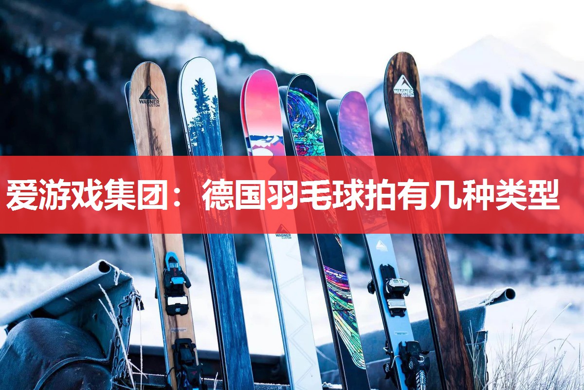 德国羽毛球拍有几种类型 德国羽毛球拍有几种类型