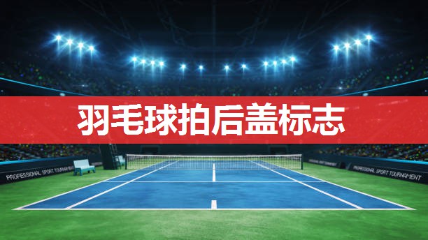 羽毛球拍后盖标志 羽毛球拍后盖标志