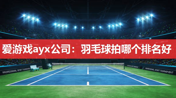 羽毛球拍哪个排名好 羽毛球拍哪个排名好