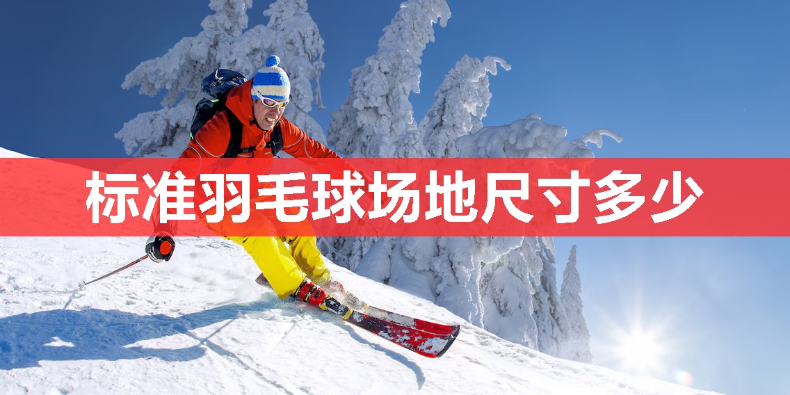 标准羽毛球场地尺寸多少 标准羽毛球场地尺寸多少
