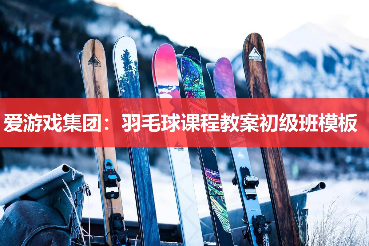 羽毛球课程教案初级班模板 羽毛球课程教案初级班模板