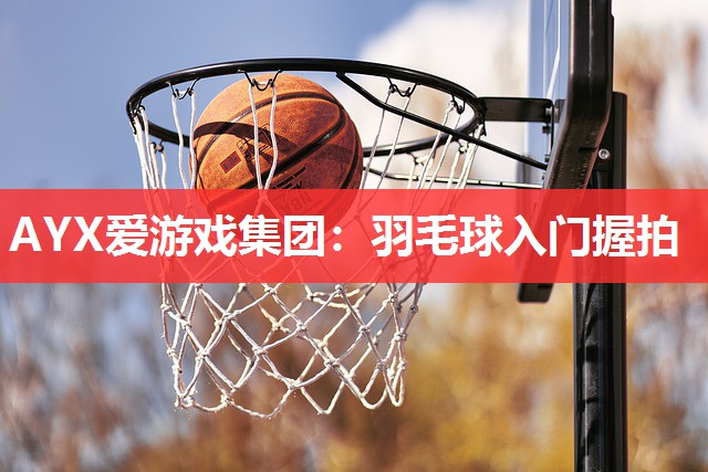 羽毛球入门握拍 羽毛球入门握拍