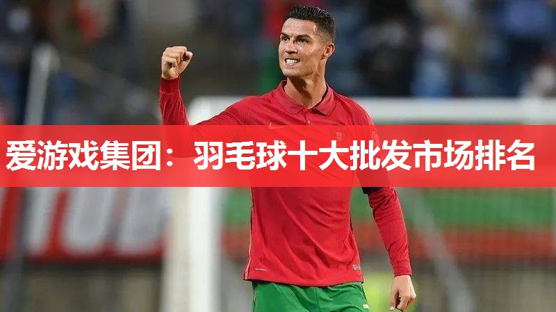 羽毛球十大批发市场排名 羽毛球十大批发市场排名