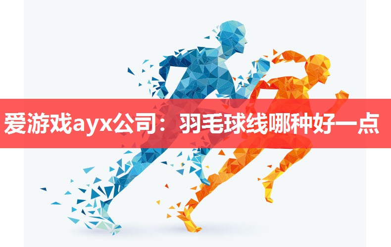羽毛球线哪种好一点 羽毛球线哪种好一点