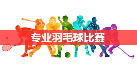 专业羽毛球比赛 专业羽毛球比赛