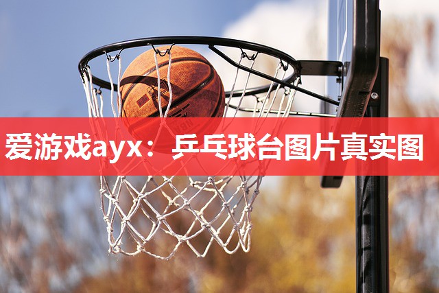 乒乓球台图片真实图 乒乓球台图片真实图
