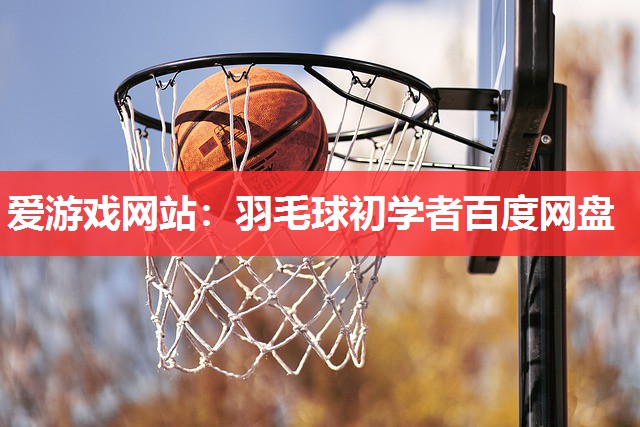 羽毛球初学者百度网盘 羽毛球初学者百度网盘