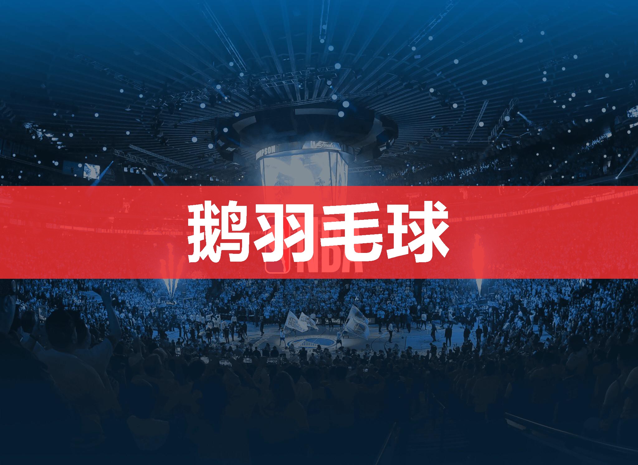 鹅羽毛球 鹅羽毛球