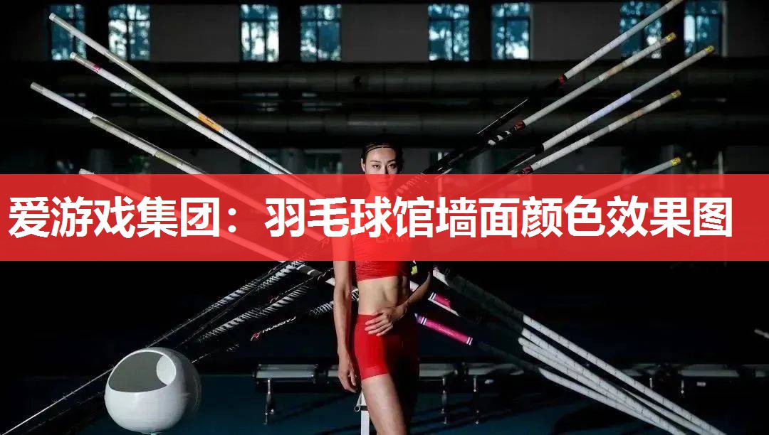 羽毛球馆墙面颜色效果图 羽毛球馆墙面颜色效果图