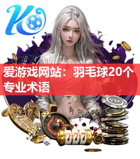 羽毛球20个专业术语 羽毛球20个专业术语
